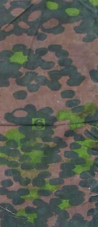 plaatan 6.jpg
