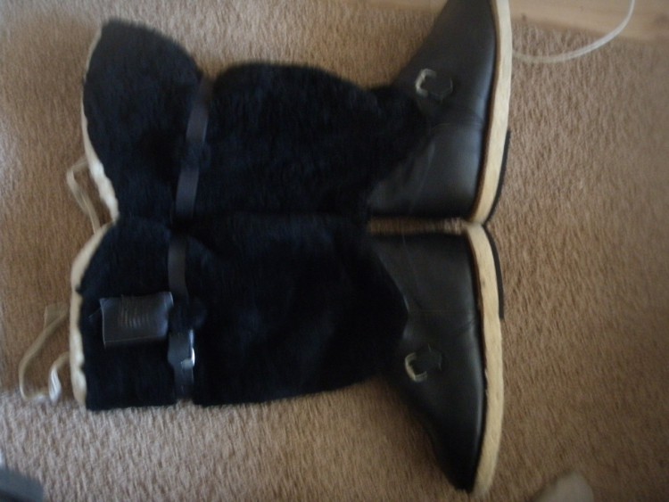 PA230001.JPG