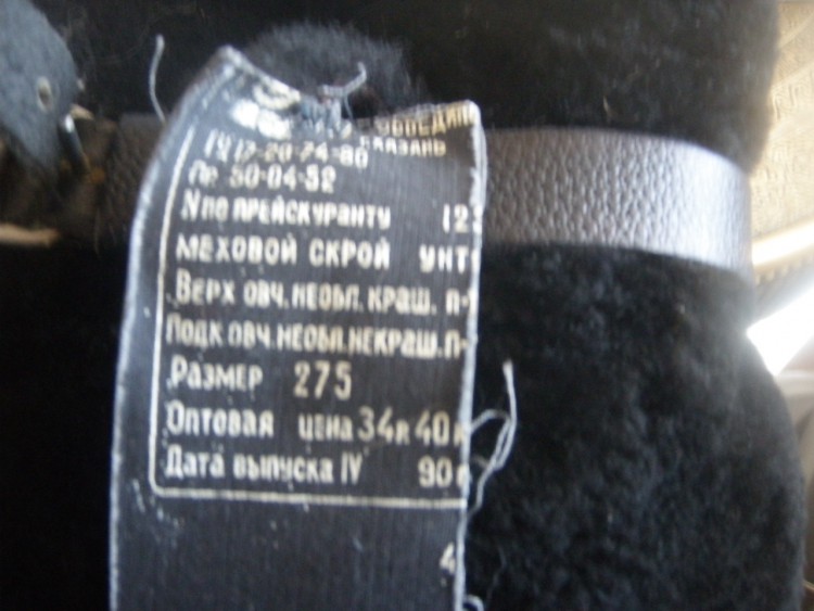 PA230004.JPG