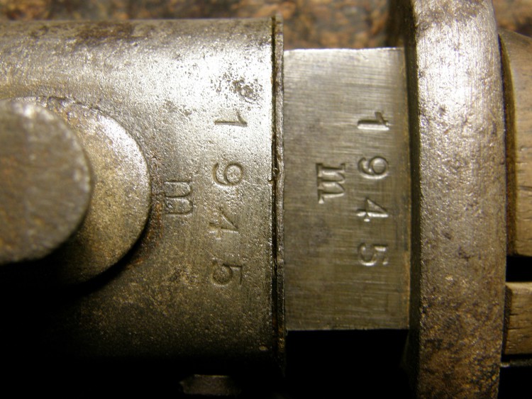 PB034821.JPG