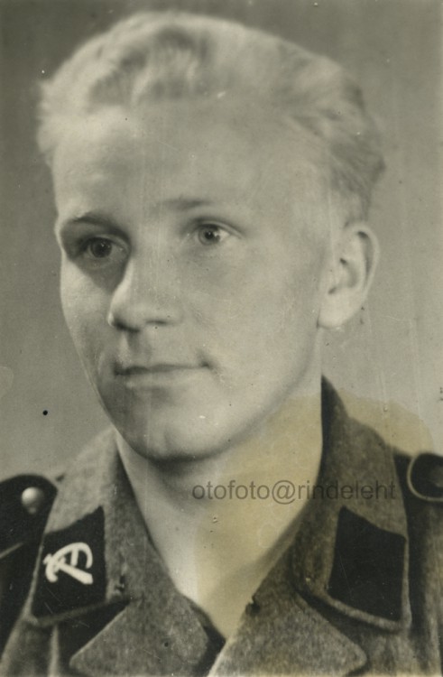 otofoto_f2973.jpg
