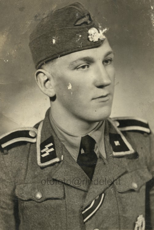 otofoto_f2991.jpg
