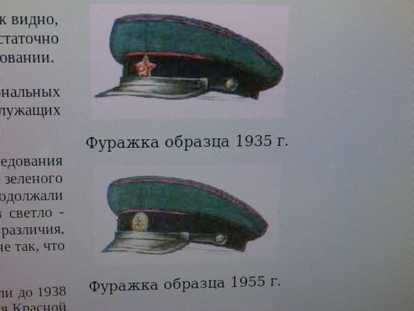 1_1_30916381.jpg