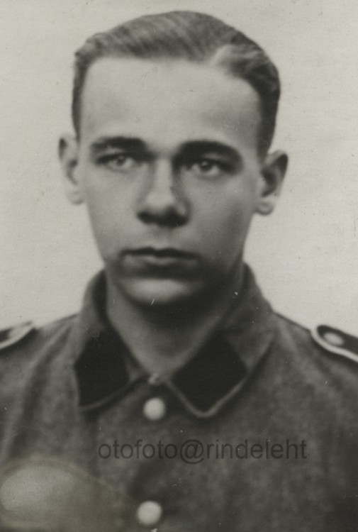 otofoto_f4191.jpg