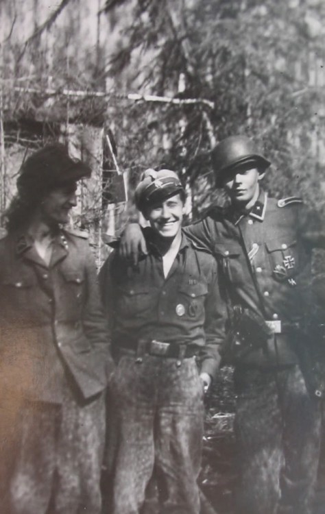 Ilves.jpg