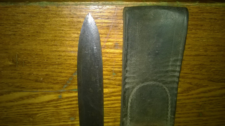 WP_20220407_010.jpg