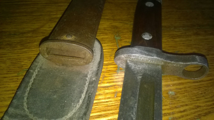 WP_20220407_013.jpg