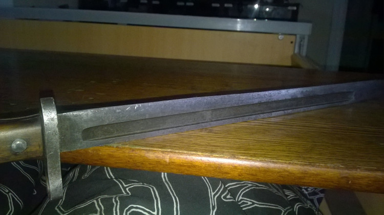 WP_20220407_020.jpg