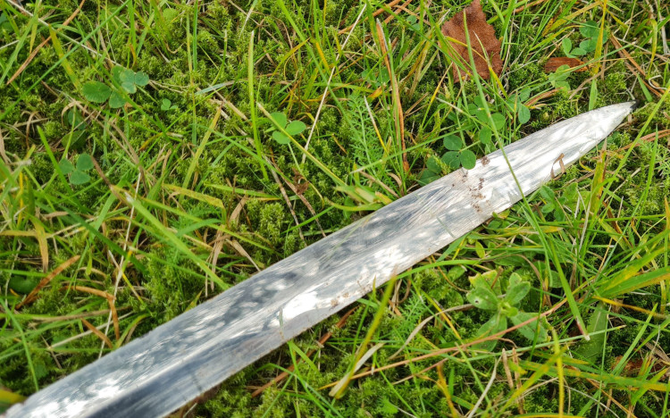 20260828_150815.jpg