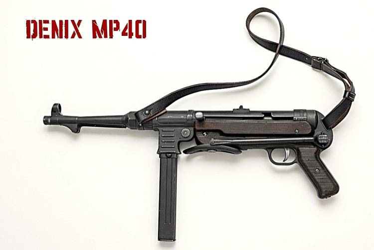 DENIX1.png