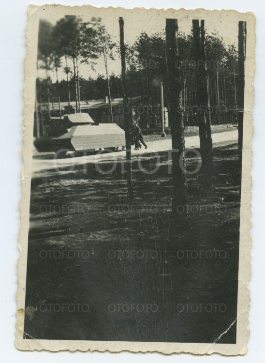 otofoto_f1372.jpg