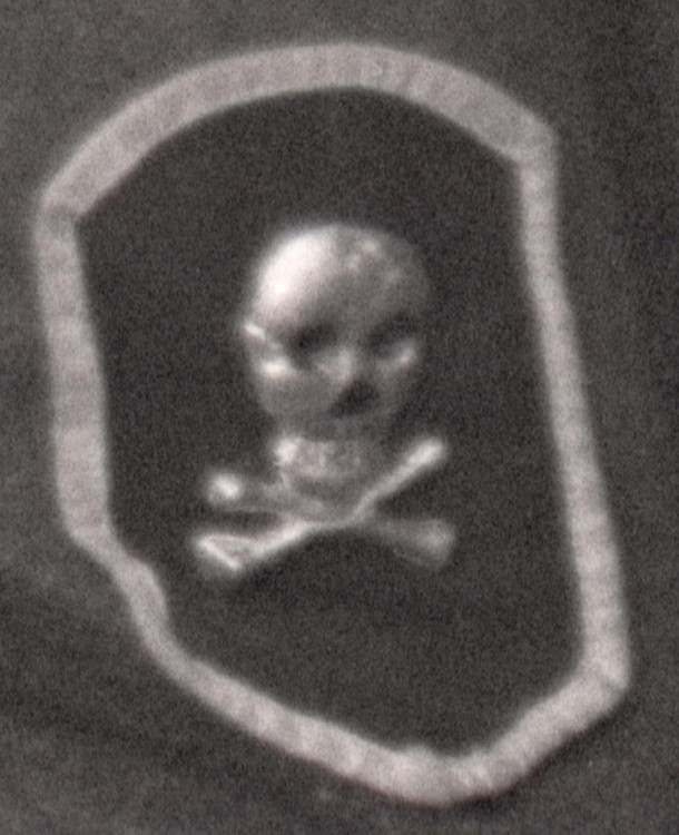 img290.jpg